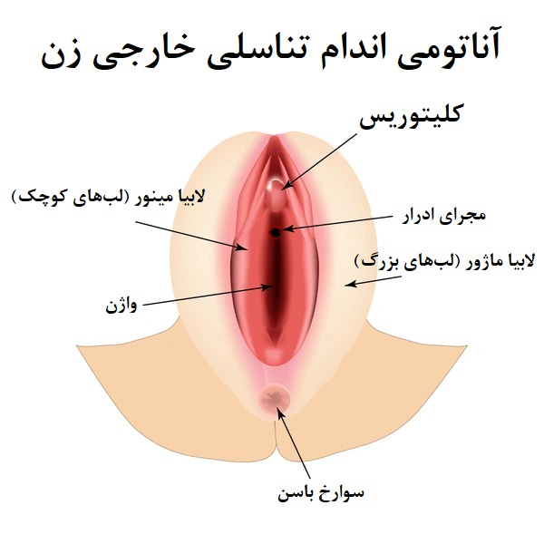 9 تکنیک برای تحریک کلیتوریس و لذت بیشتر